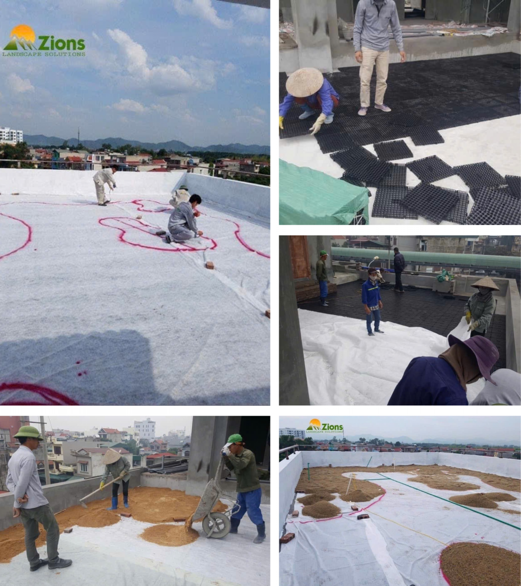 Đội ngũ Zion's trong công trình thi công vườn sân thượng
